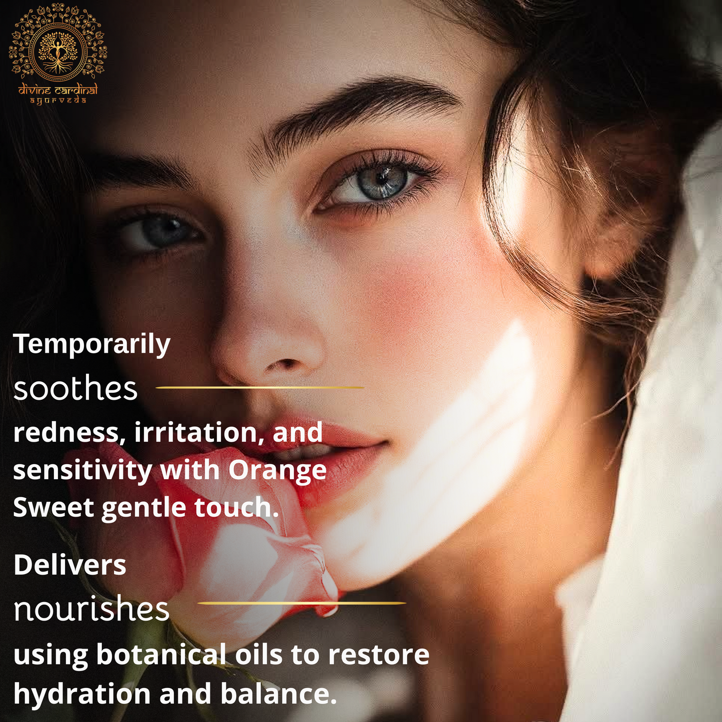 Rose Anti-Wrinkle Massage Oil