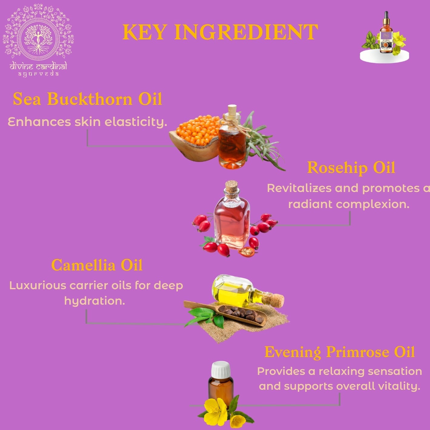 Sea Buckthorn Luxury Face Serum
