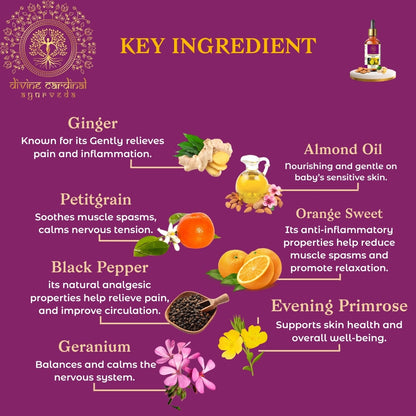 Ginger Warm Paralysis Care Oil