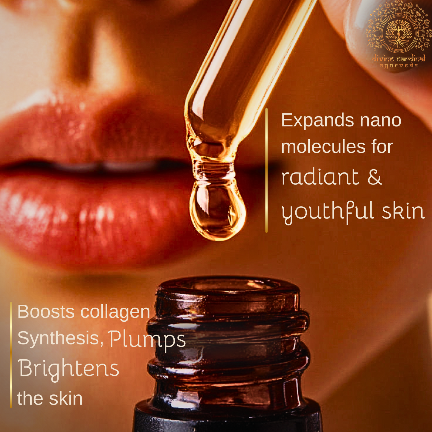 
Sea buckthorn oil benefits for anti aging skincare


