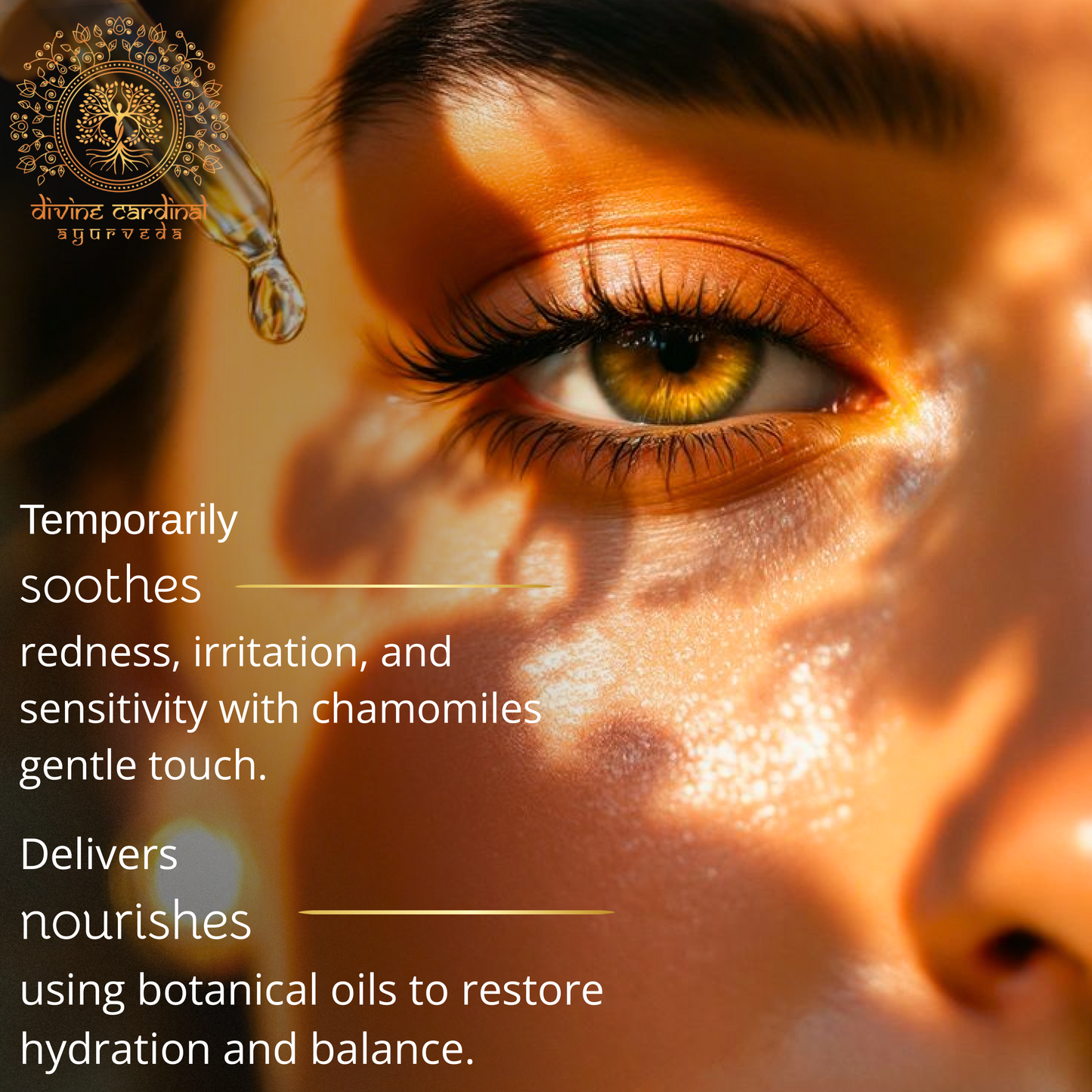 Chamomile Day Care Oil (Dry Skin)