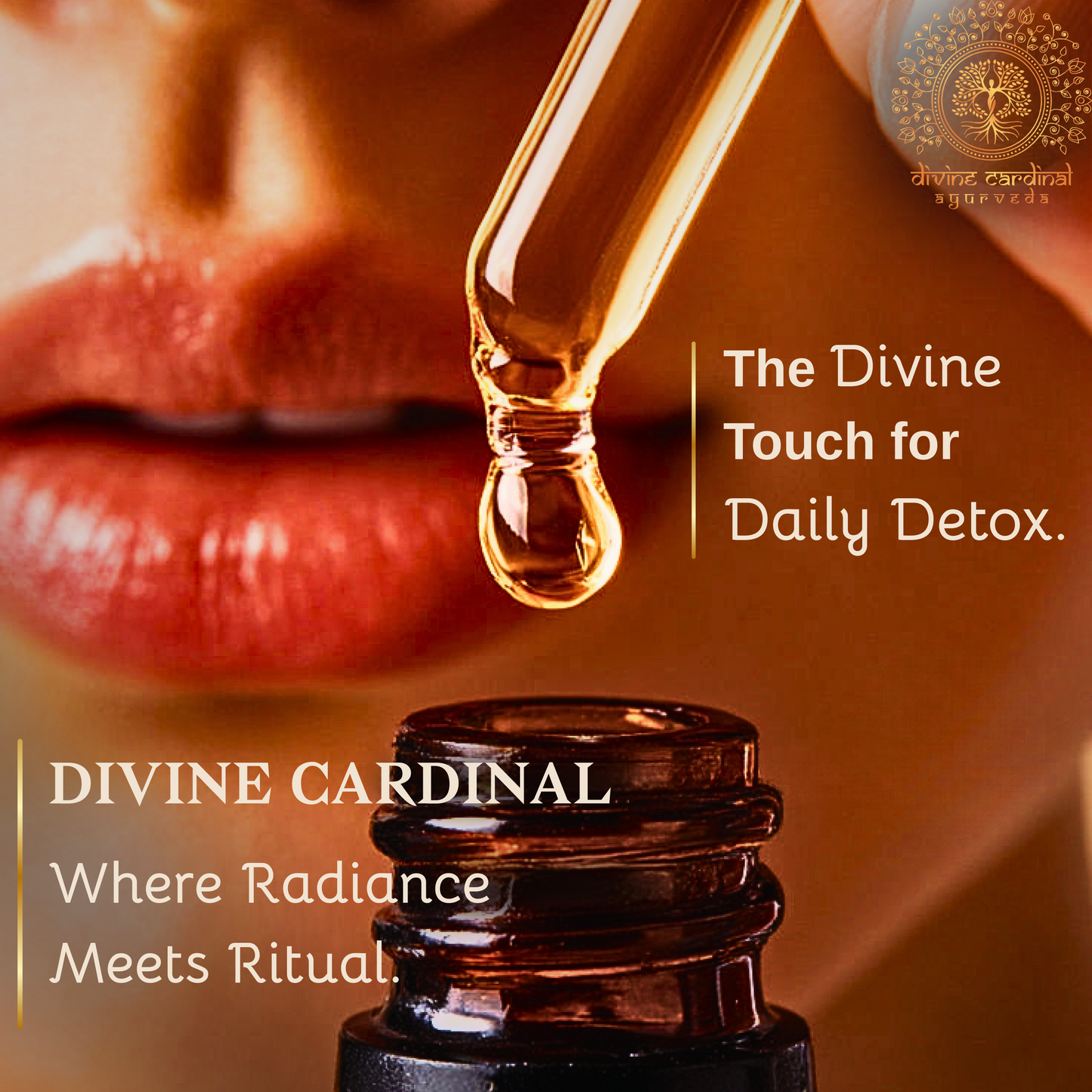 Chamomile Day Care Oil (Dry Skin)