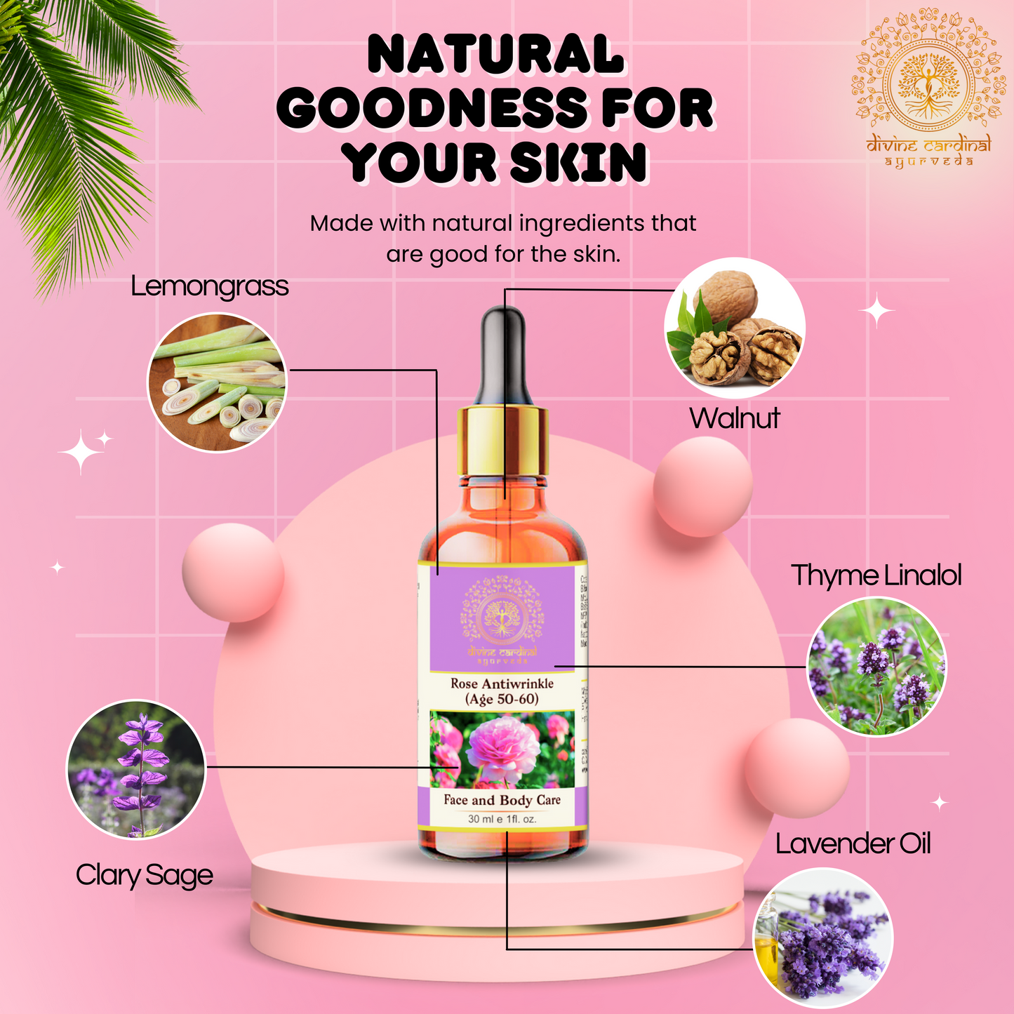 Walnut Body  Massage Oil