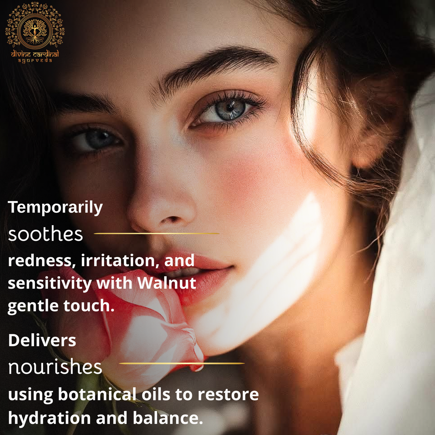 Walnut Body  Massage Oil