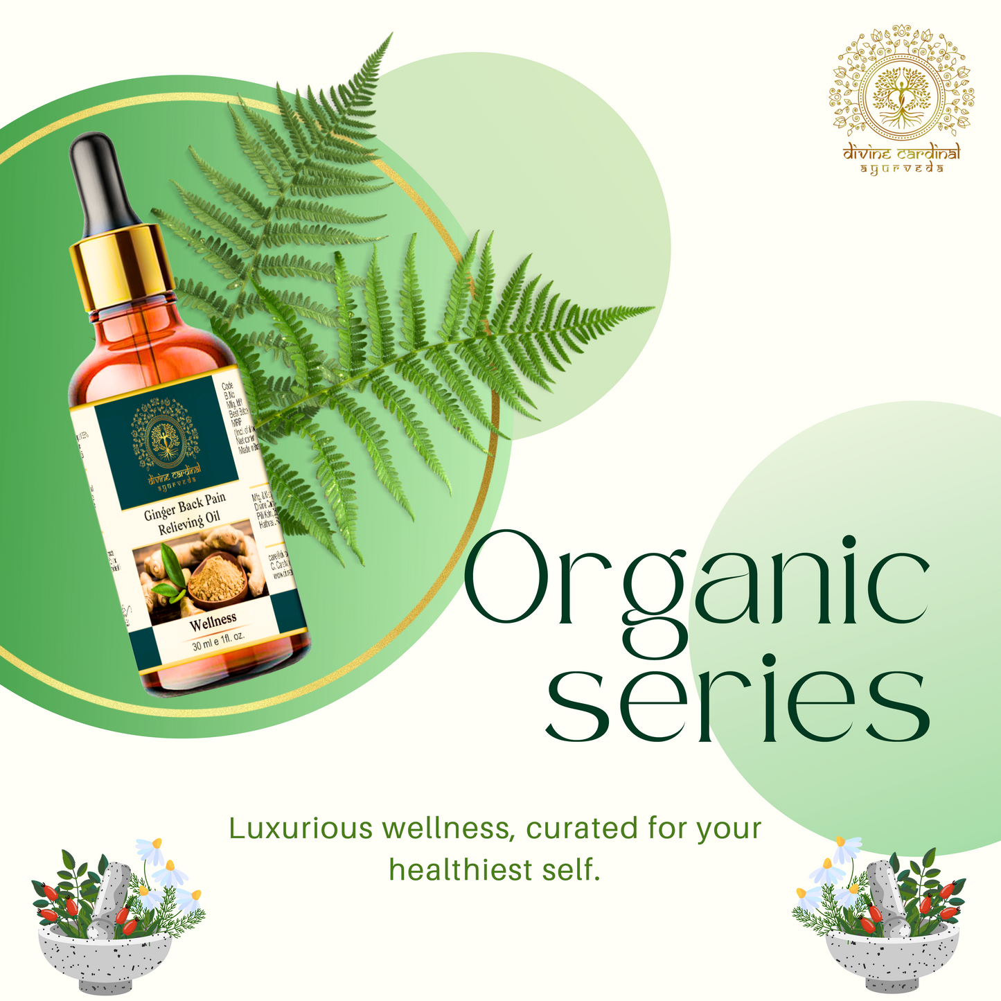 Ginger Back Pain Relieving Oil