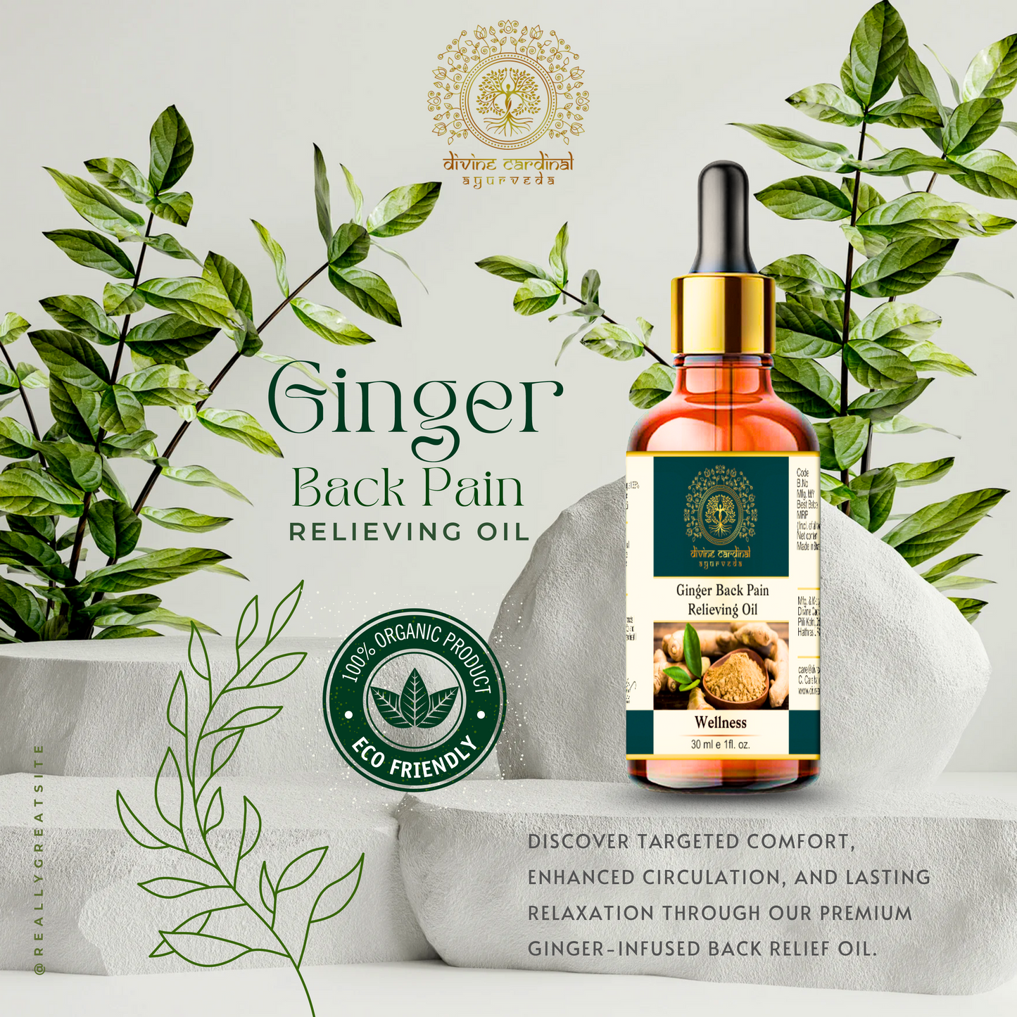 Ginger Back Pain Relieving Oil