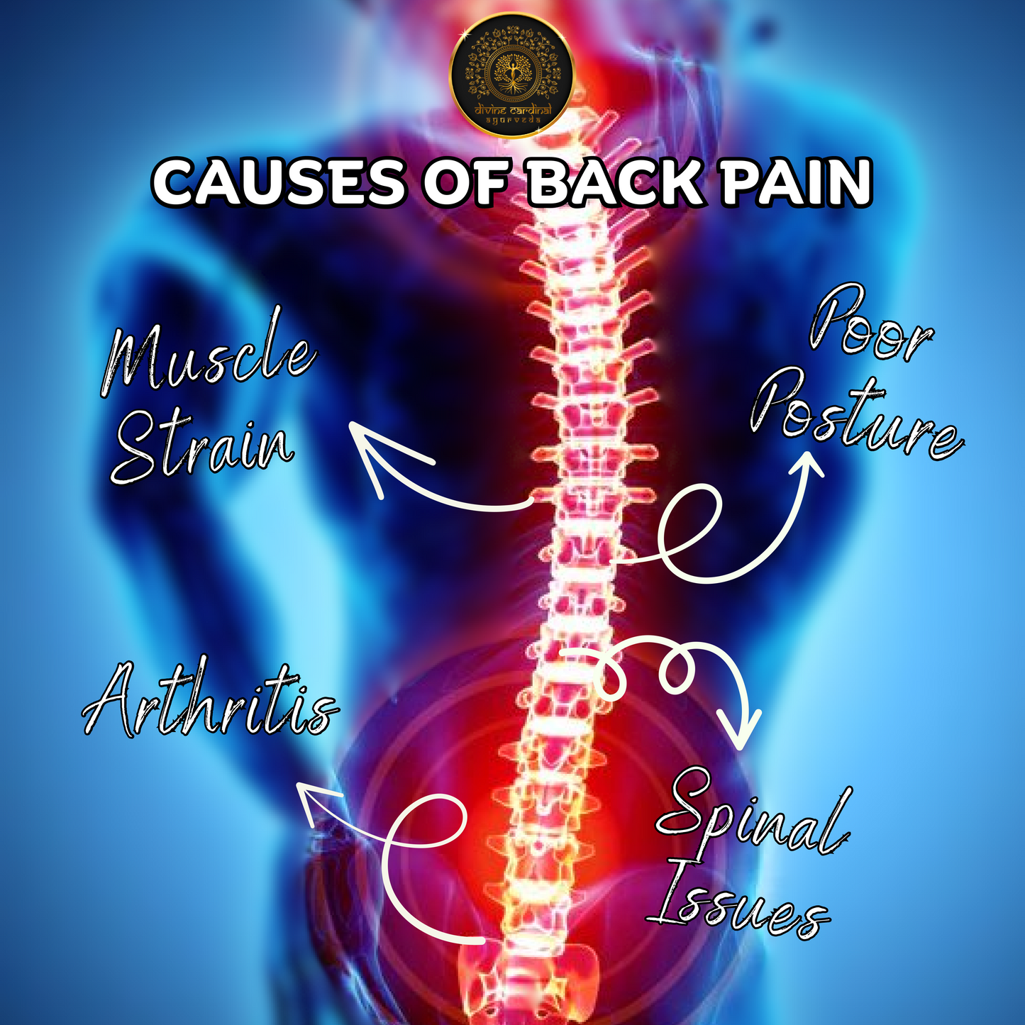 Ginger Back Pain Relieving Oil