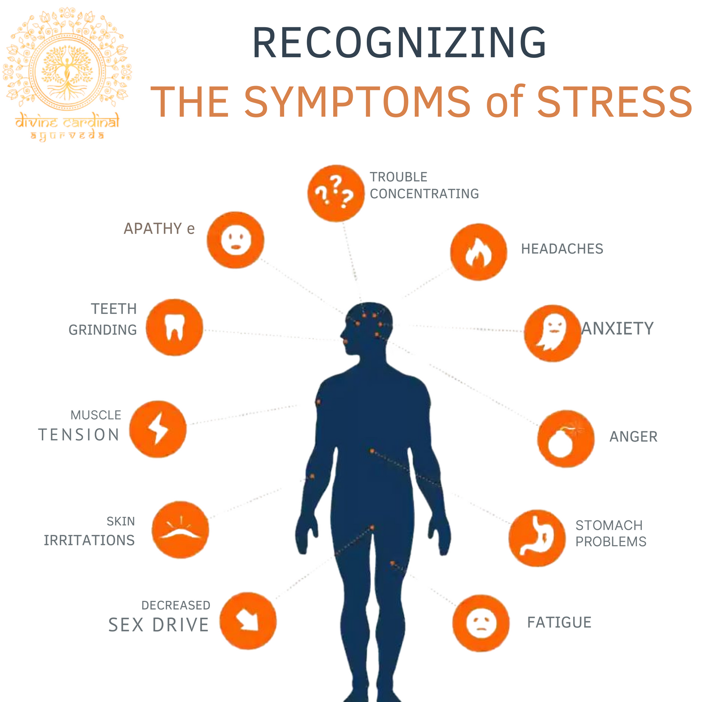 Vetiver Anti-Emotional Stress Oil