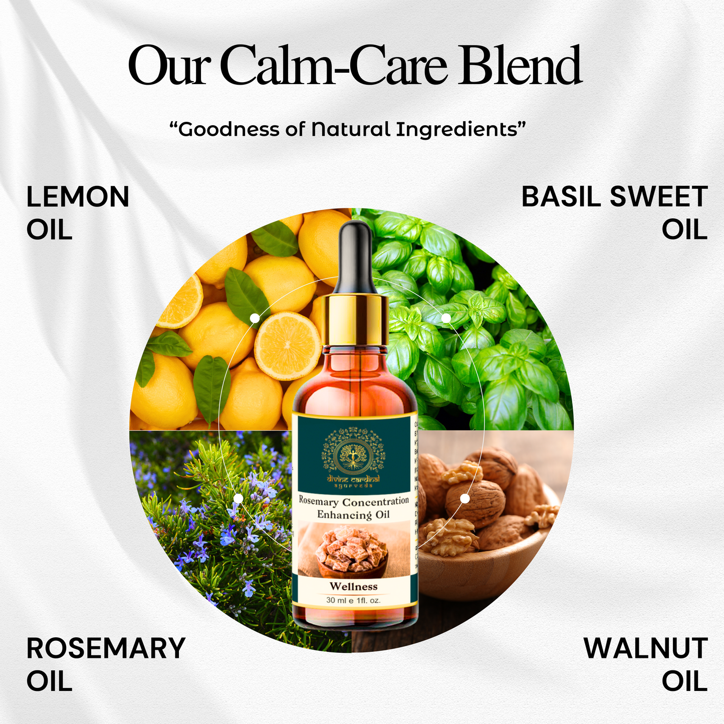 Rosemary Concentration Enhancing Oil