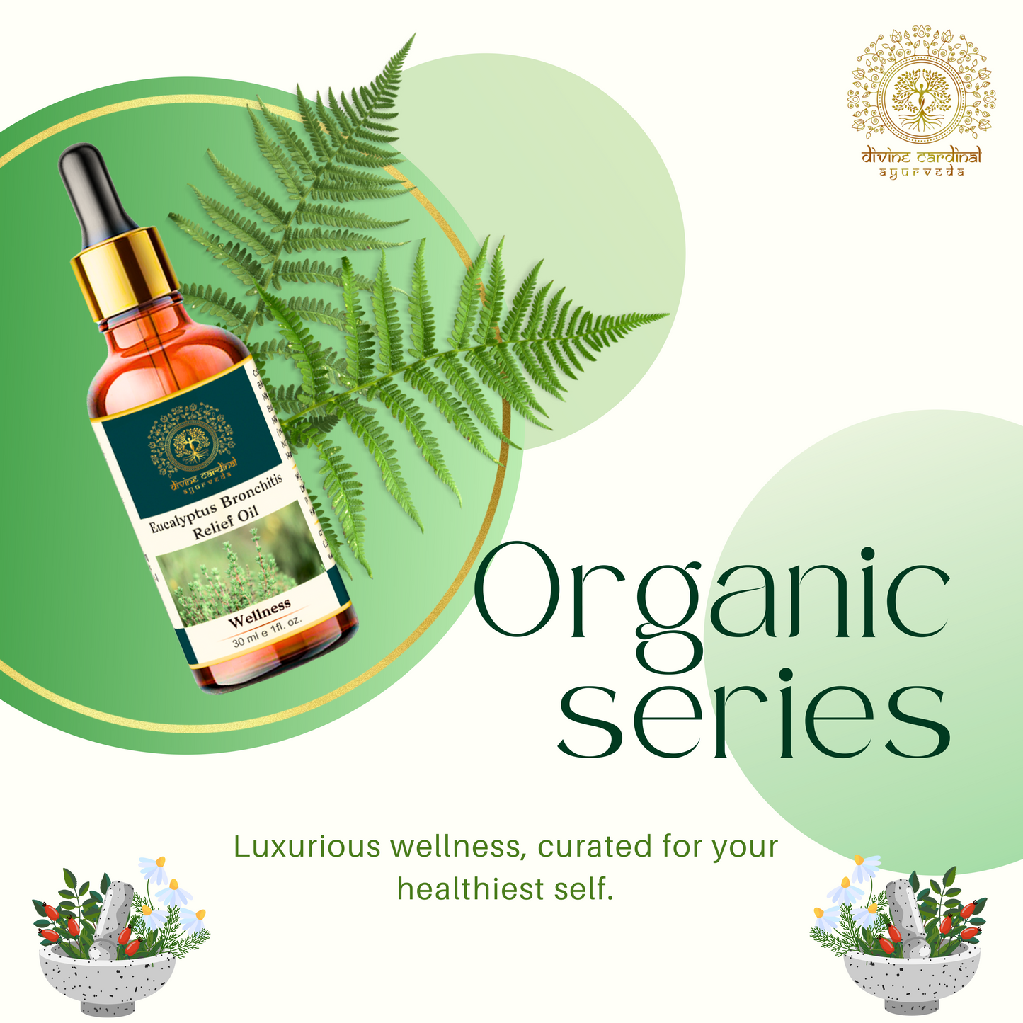 Eucalyptus Bronchitis Relief Oil