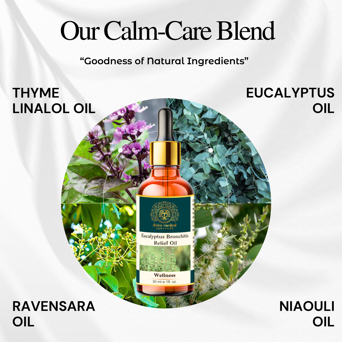Eucalyptus Bronchitis Relief Oil