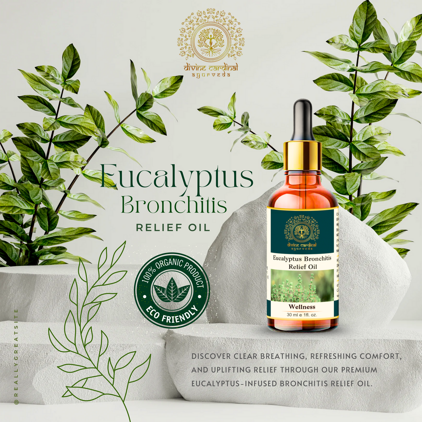 Eucalyptus Bronchitis Relief Oil