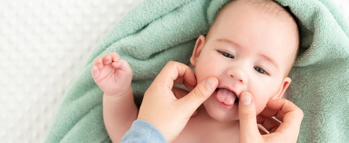 Step 2: Massage chamomile teething oil on baby's outer jawline for sore gum pain relief