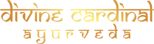 DIVINE CARDINAL INTERNATIONAL